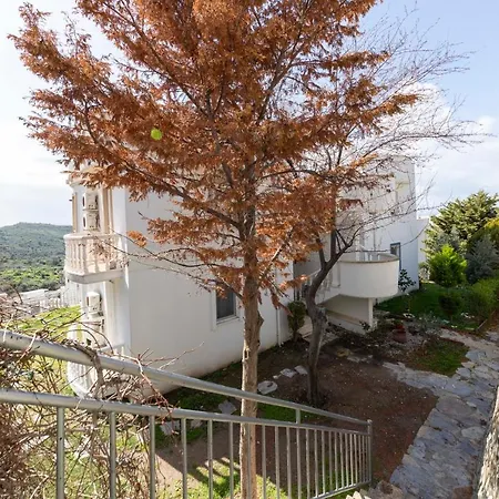 Invigorating Villa With Impressive Sea View In Yalikavak, Bodrum アパート Giriş